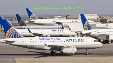 Top 12 Best Airlines in the World 2024