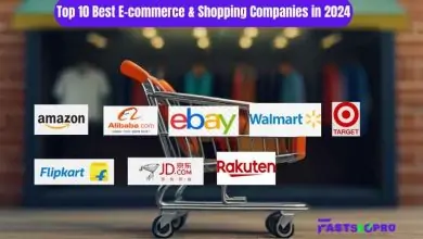 Top 10 Best E-commerce & Shopping Companies in 2024