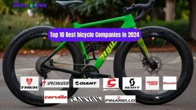 Top 10 Best bicycle Companies in 2024