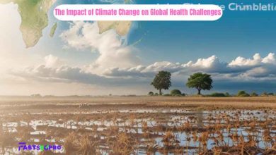 The Impact of Climate Change on Global Health Challenges