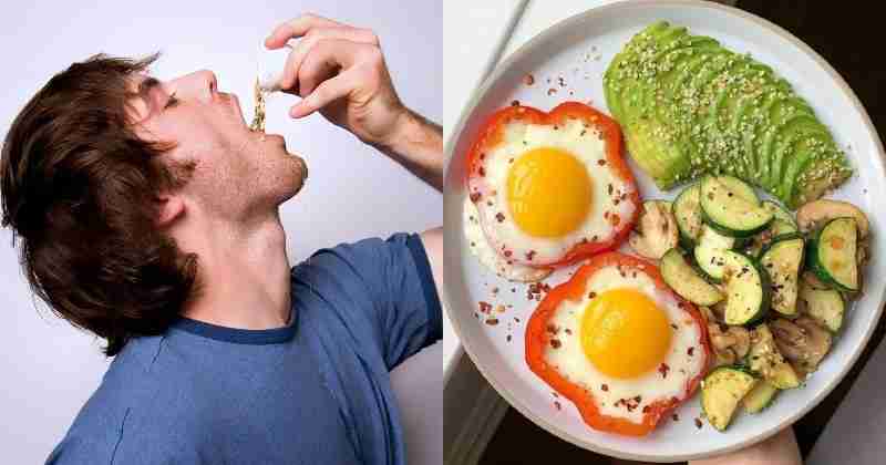 Top 10 Benefits of Eggs for Vegetarians