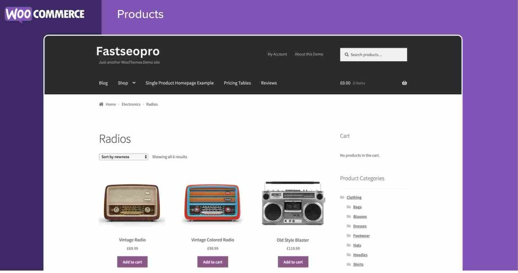 Top 10 Features of WooCommerce: Best WordPress eCommerce Plugin